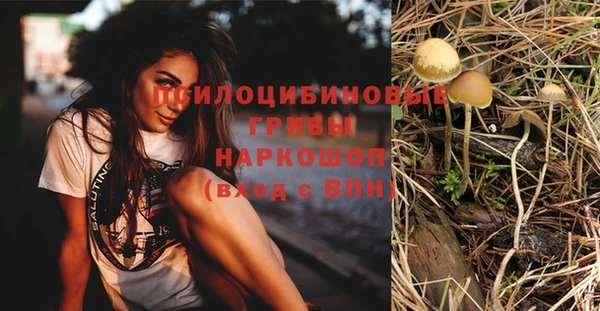 мяу мяу кристалл Покачи
