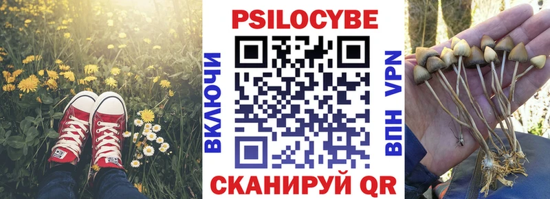 где купить наркоту Миньяр Псилоцибиновые грибы Psilocybine cubensis
